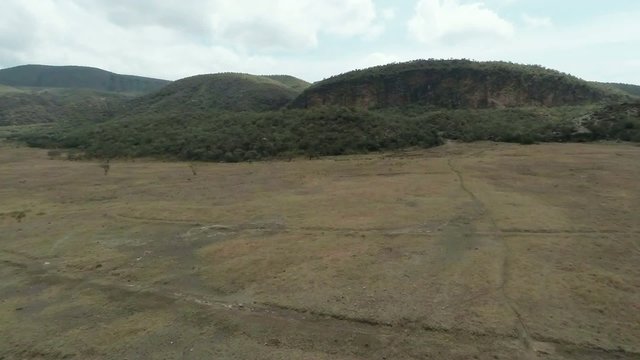 Aerial shot of Savanna from a height of 10 meters.