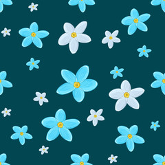 forget-me-not