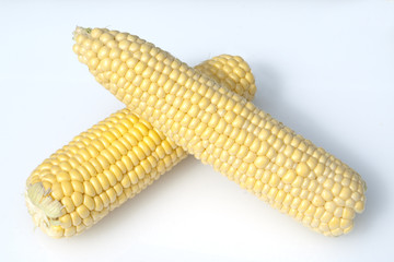 Mais; Zea mays; Maiskoerner;