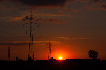 Fototapeta na wymiar sunset view of power poles and a tree