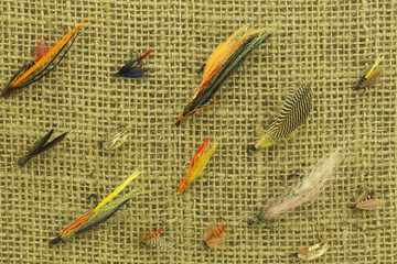 Fototapeta premium Fly fishing