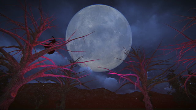 Halloween witch flying on her broom