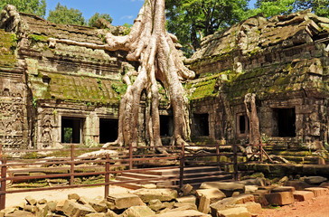 Ta Prohm temple