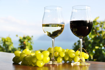 Wine and grapes. Lavaux region, Switzerland