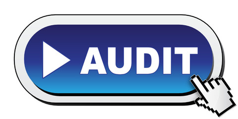 AUDIT ICON