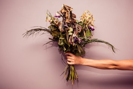 Hand with dead flowers