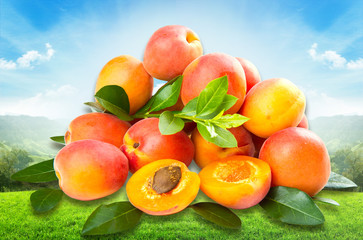 group of fresh apricot