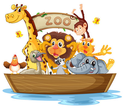 A boat full of animals