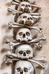Human skulls