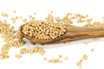 Senfkörner mit Löffel aus Olivenholz isoliert auf weißem Hintergrund