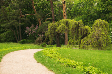 Path through the green park