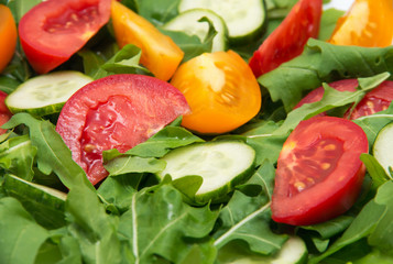 Fresh salad with tomatoes, rucola and cucumbers