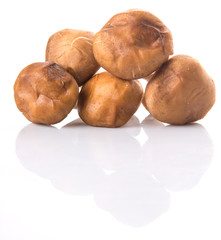 Edible mushroom over white background