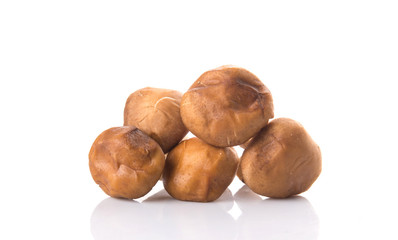 Edible mushroom over white background