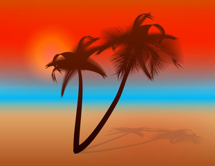 Fototapeta na wymiar Sunset on tropical beach. Vector illustration