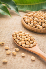Soy beans on wooden spoon