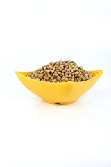 Coriander Seeds in Melamine Bowl