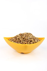 Coriander Seeds in Melamine Bowl