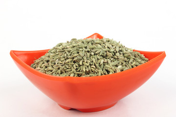 fennel seeds in a melamine bowl isolated on white