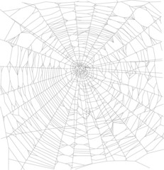 square black spider web illustration
