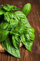 fresh basil