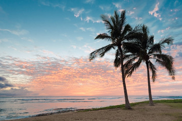 Naklejka na ściany i meble Beautiful sunset with two palm trees over the ocean horizon