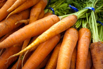 Fresh bunch of carrots for sale at a market