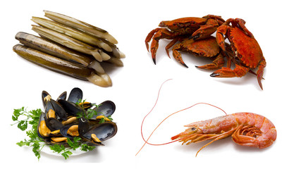 seafood isolated