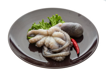 Raw octopus