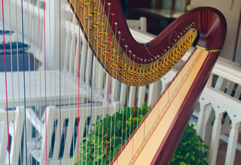 harp musical instrument in restaurant