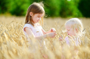 Fototapeta premium Two little sisters in wheat field on summer day