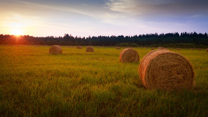 Landscape with hay