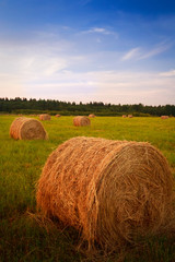 Landscape with hay