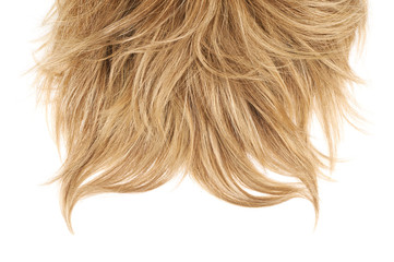 Hair fragment over the white