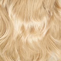 Hair fragment as a background composition