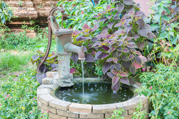 Old water well with water pump among colorful plants
