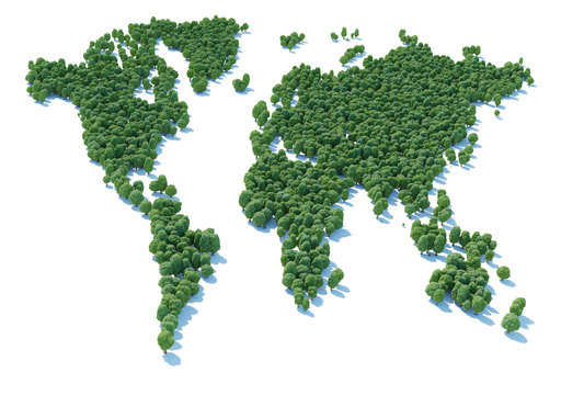 World map forest