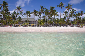 Caribbean sand beach with palm trees in Dominican Republic