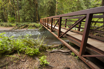Naklejka premium Nature Bridge end near Marymere Falls, Olympic National Park