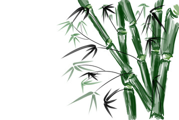 Fototapeta na wymiar Handgezeichnete Bambus Illustration in Aquarelloptik auf weissem Grund. Copyspace links.