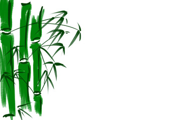 Handgezeichnete Bambus Illustration in Aquarelloptik auf weissem Grund. Copyspace rechts.