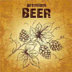 beer with hop for label, package