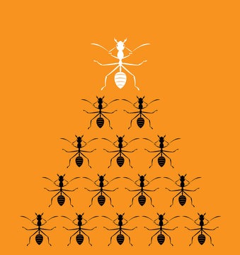 Vector image of an ants on orange background. Leadership concept