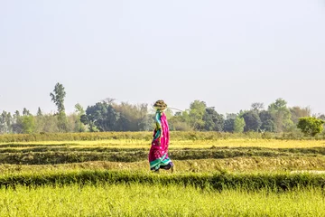 Selbstklebende Fototapete Nepal auf dem Feld arbeiten