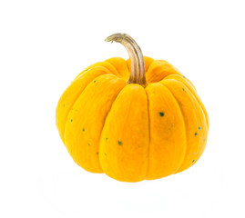 Pumpkin isolated on white