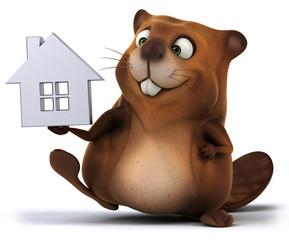 Fun beaver © Julien Tromeur