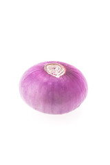 Onion isolated on white