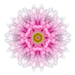 Kaleidoscopic Flower Mandala  Isolated on White