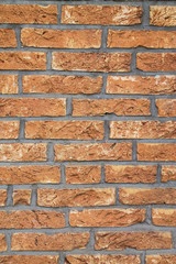 Fototapeta premium Backsteinwand