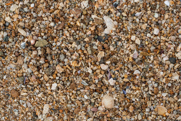 Sea sand texture made of shell and stone pieces.